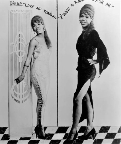 Photo sugar pie santo - photo,