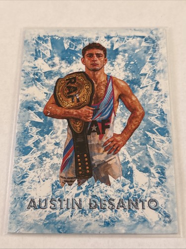 Austin desanto edizione - austin,